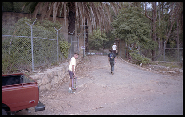 Tea Garden Entrance